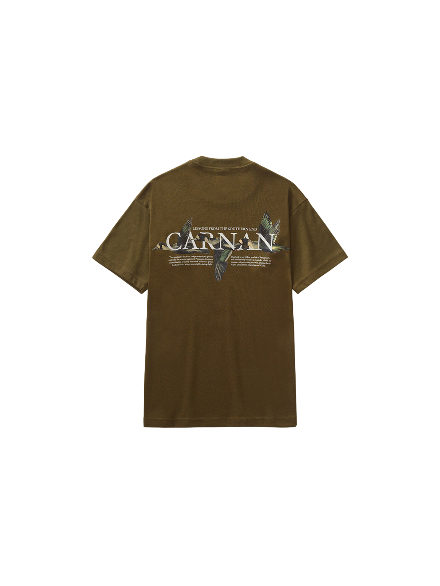 Ducks Heavy T-shirt "Green"