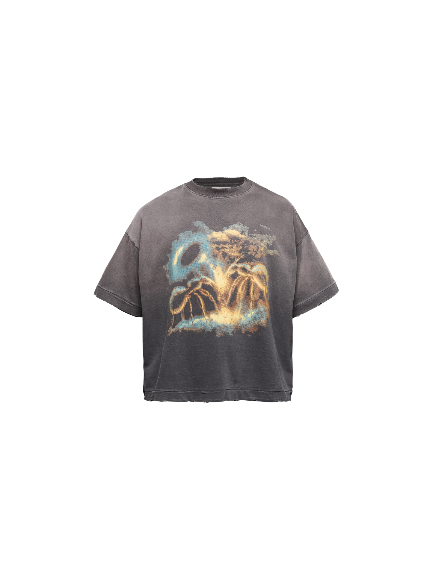 Camiseta Boxy Formiga