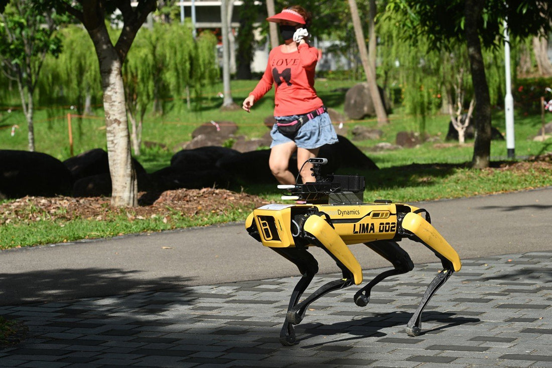 Cão-robô reforça medidas de distanciamento social em parques de Cingapura