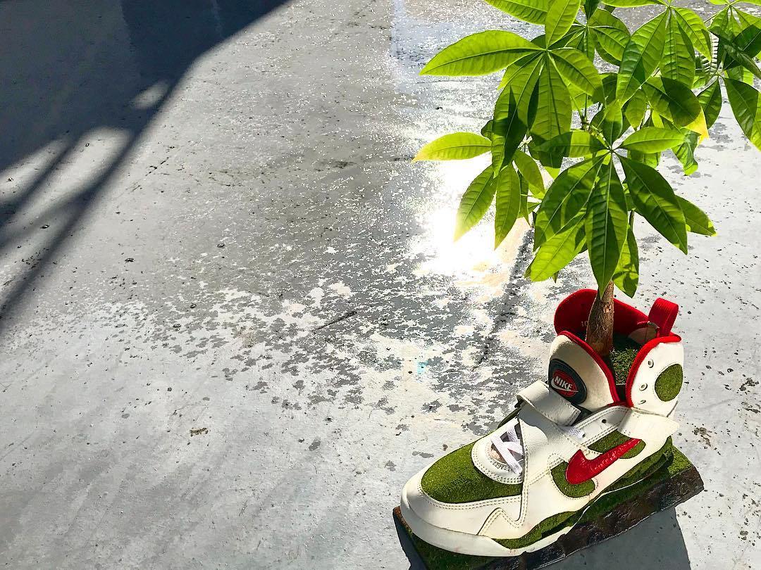 Conheça Shoetree, artista que transforma sneakers em vasos de plantas