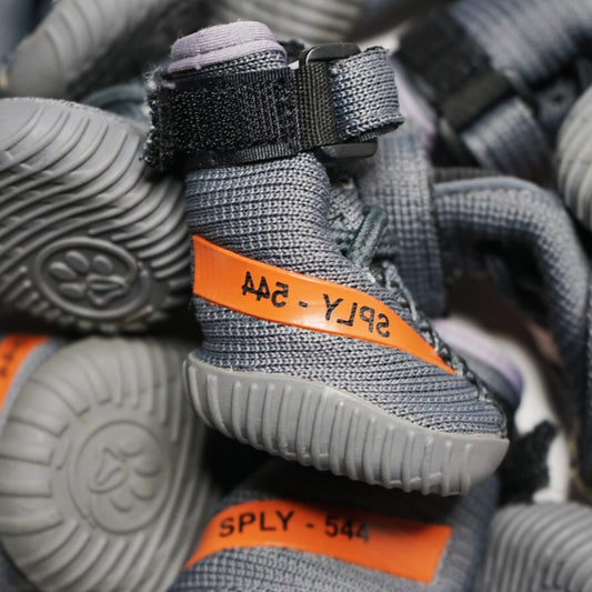 Empresa cria tênis para cachorro inspirados em Yeezy - THE GAME