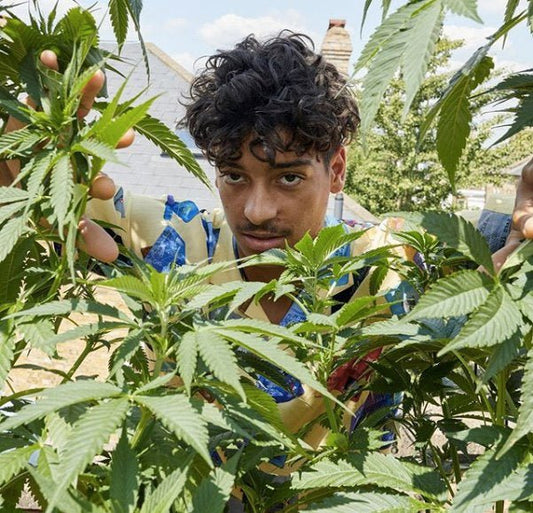 Palace dá spoiler de algumas peças da coleção de Outono 2019 - THE GAME