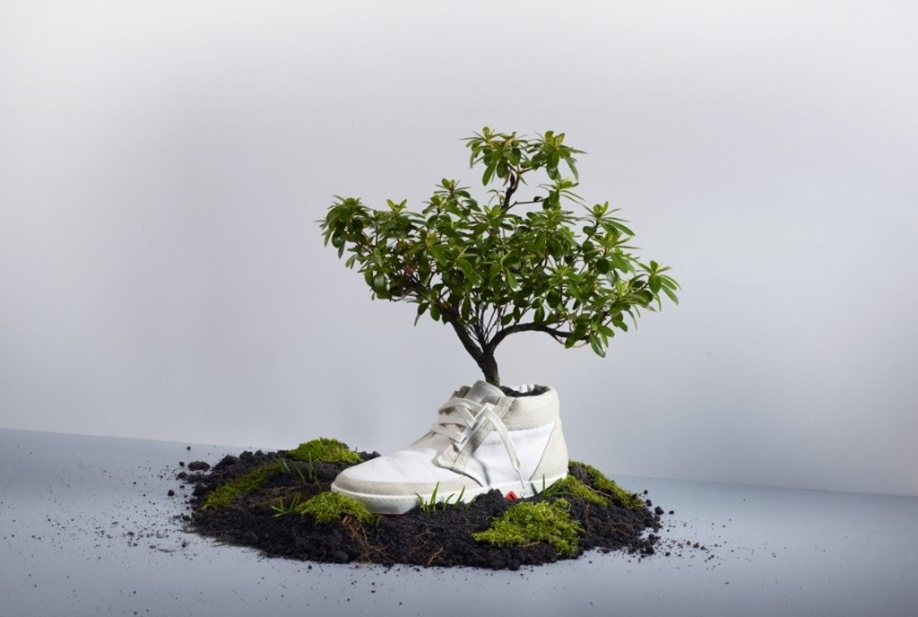Saiba formas de como se tornar um sneakerhead sustentável