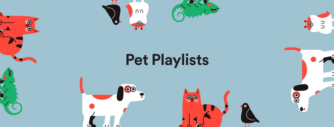 Spotify lança função nova que cria playlists para pets