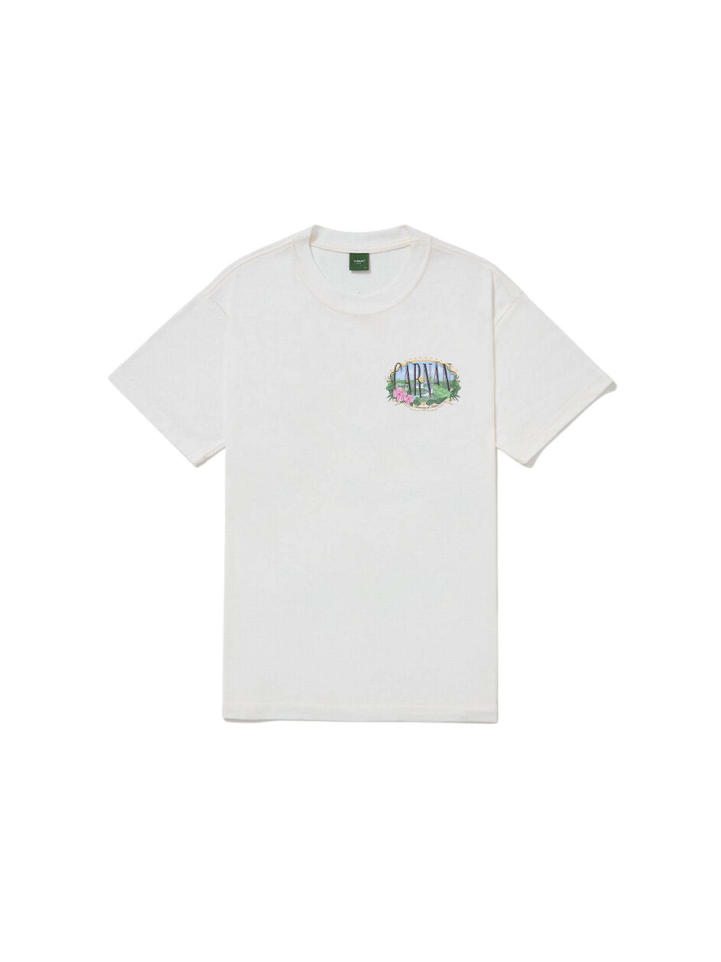 Iguana Heavy T-Shirt "Off"