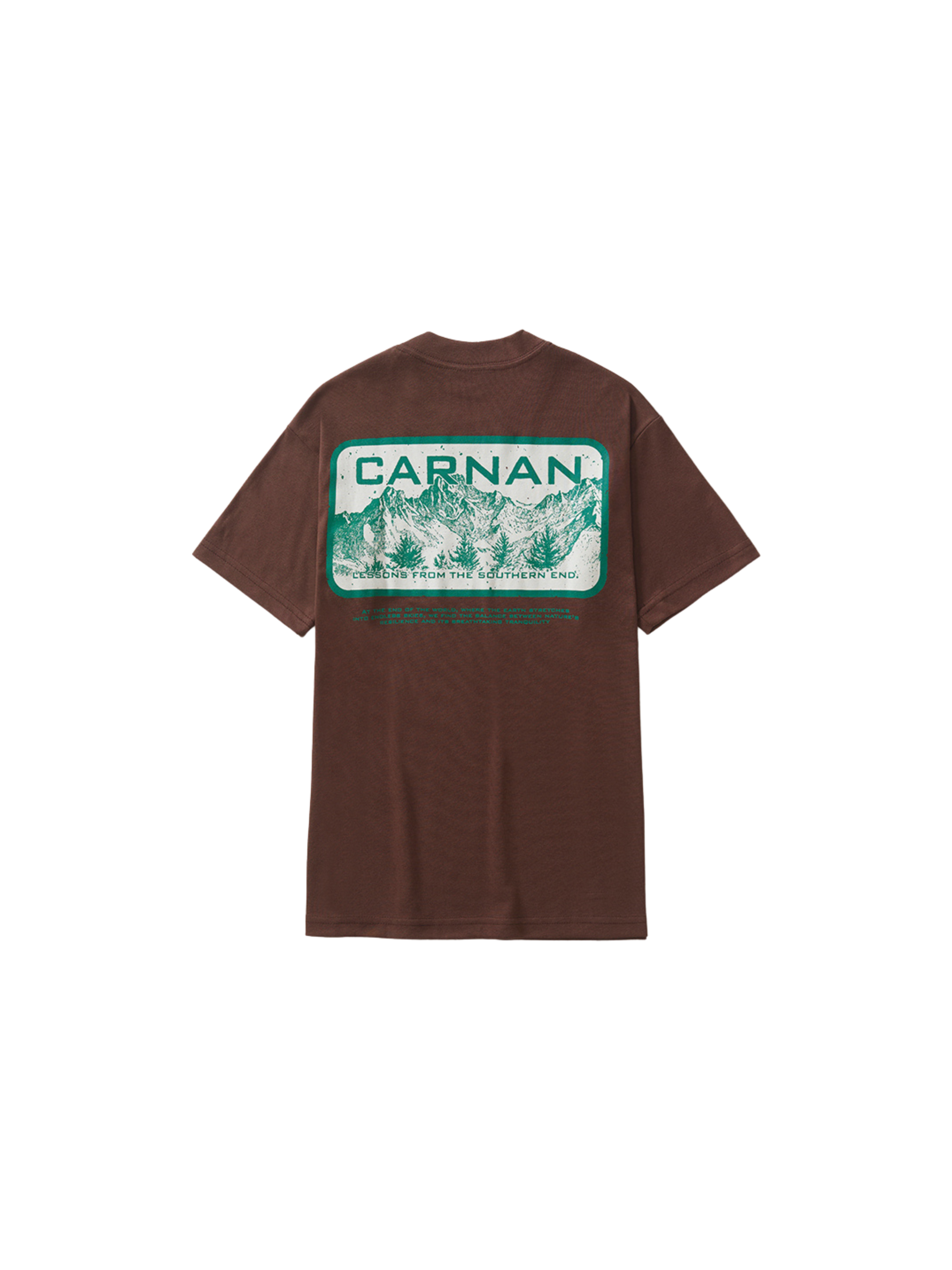 Mountain Heavy T-shirt "Brown"