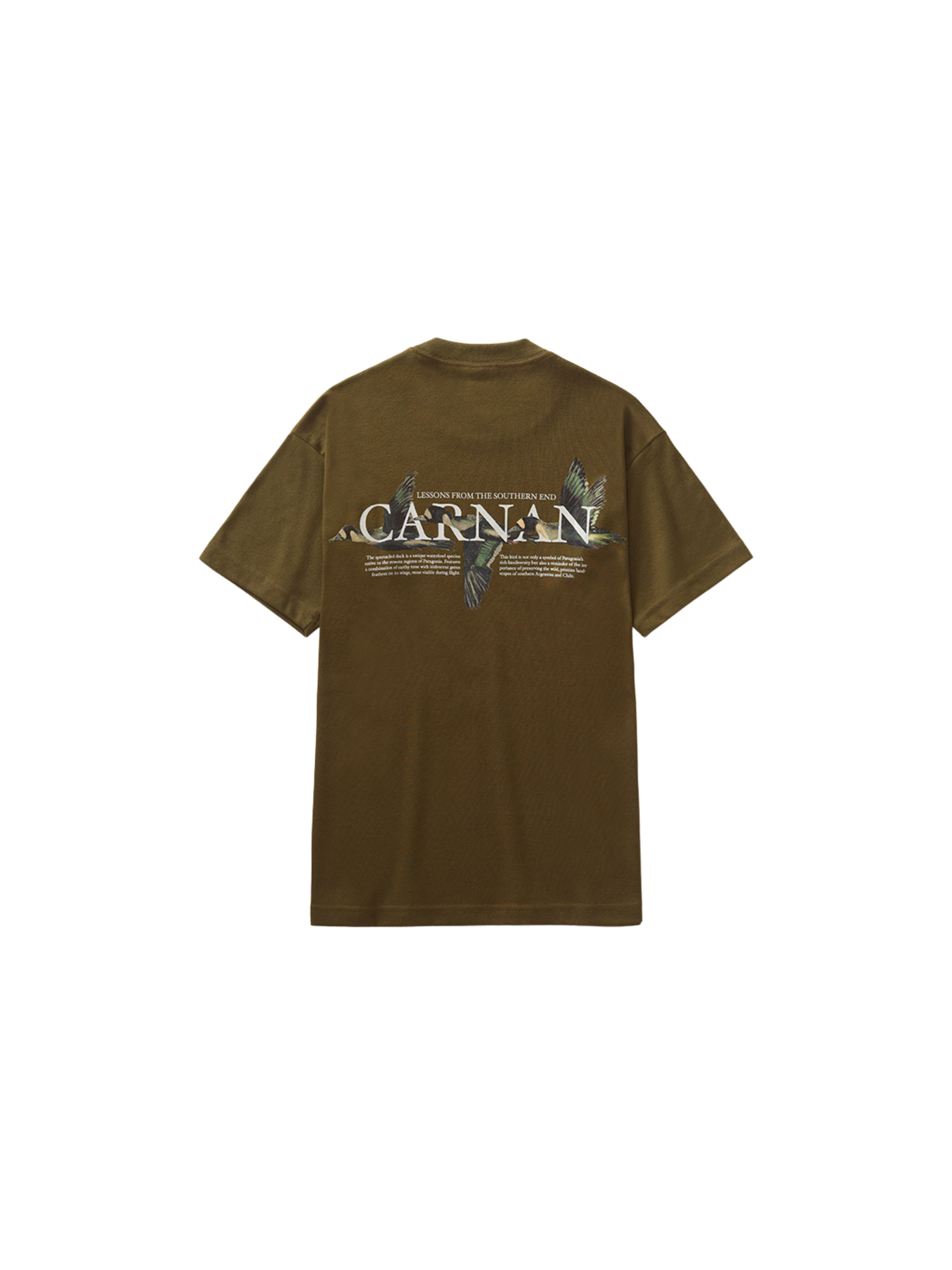 Ducks Heavy T-shirt "Green"