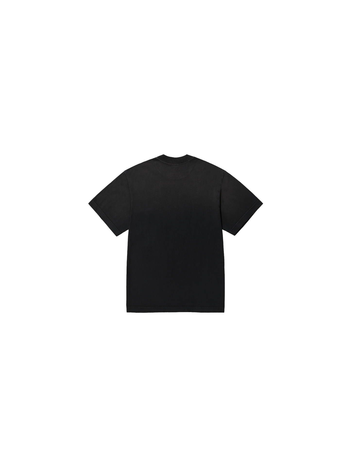 Camiseta Survival Logo "Destroyed"